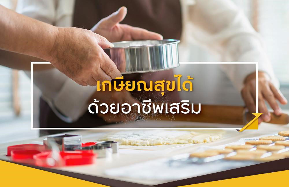 อาชีพเสริมแบบไหน ตอบโจทย์วัยหลังเกษียณ