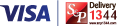 VISA S&P